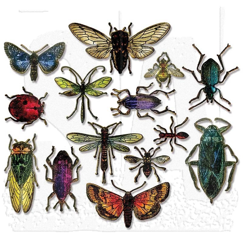 Sizzix Die Set: Entomology 663068