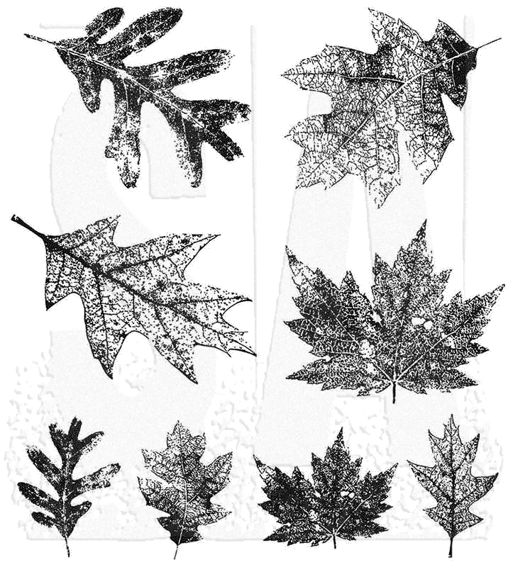 Leaf Prints 2 Tim Holtz Cling Stamps 7 inch by 8.5 inch (CMS450)