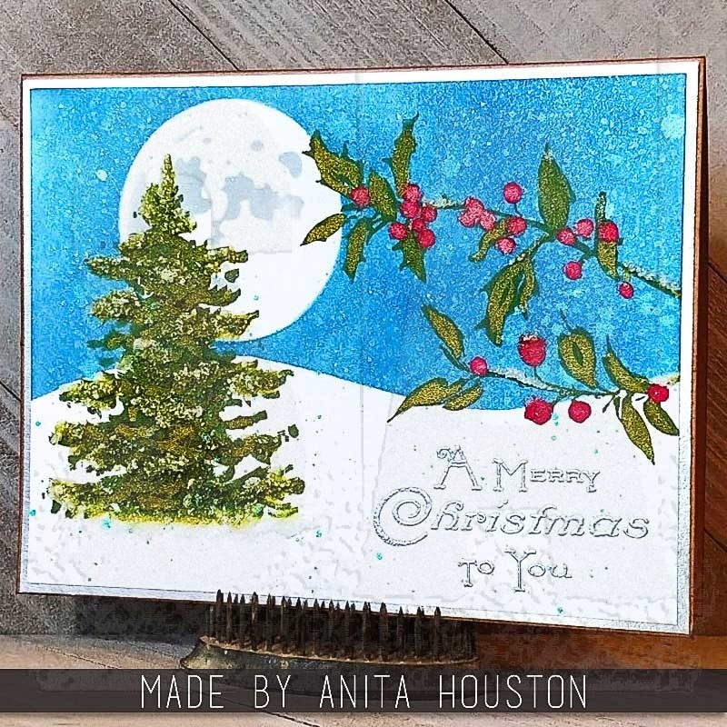 CMS443 Tim Holtz Stampers Anonymous Winter Watercolor 2 Cling Stamp 