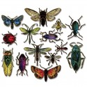 Sizzix Framelits Die Set: Entomology 663068