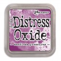 Tim Holtz Distress Oxide Ink Pad: Seedless Preserves - TDO56195