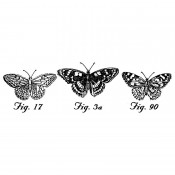 Stampers Anonymous Wood Mounted Stamp: 3 Butterflies K4-645