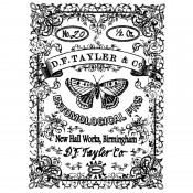 Stampers Anonymous Wood Mounted Stamp - DF Tayler K2-647