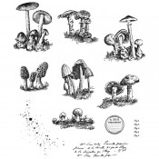 Tim Holtz Cling Mount Stamps - Tiny Toadstools CMS377