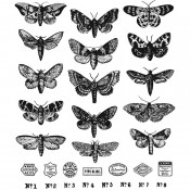 Tim Holtz Cling Mount Stamps - Moth Study CMS436
