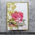 Tim Holtz Cling Mount Stamp: French Garden CMS487