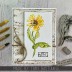 Tim Holtz Cling Mount Stamp: French Garden CMS487