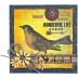 Tim Holtz Cling Mount Stamps - Bird Feather CMS180