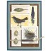Tim Holtz Cling Mount Stamps - Nature Walk CMS181