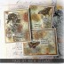 Tim Holtz Cling Mount Stamps: Botanic Collage CMS447
