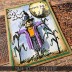 Tim Holtz Cling Mount Stamps: The Scarecrow CMS451