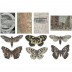 Tim Holtz Idea-ology: Transparent Things TH94241