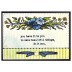 Wendy Vecchi Cling Mount Stamps - Birds For Art SCS140